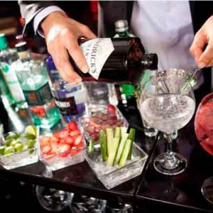 Taller de Gin tonic en Madrid Taller Gin Tonic para fiesta privada en Madrid