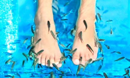 Tratamiento-de-belleza-Fish-pedicure-en-Beauty-Party