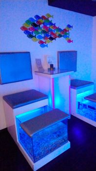 Peceras-de-ictioterapia-en-centro-de-belleza-para-Beauty-party
